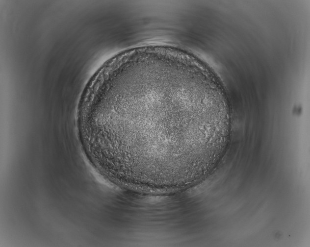 X0000091101423200708201510