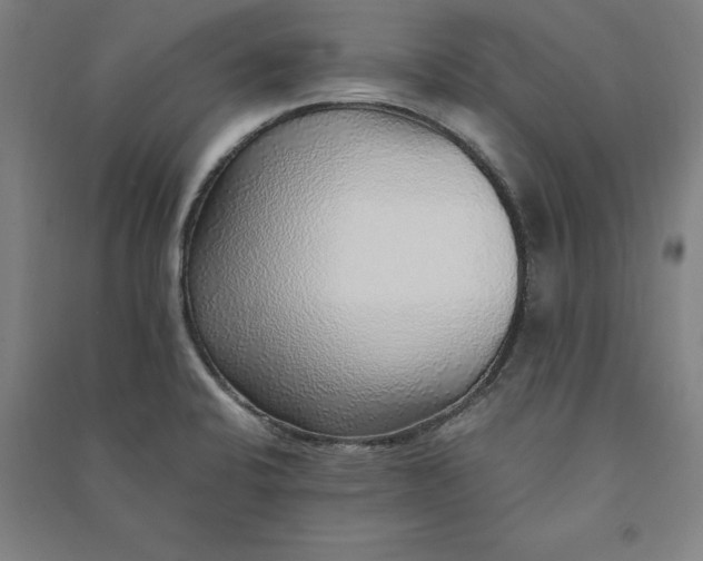 X0000091101424200708201510