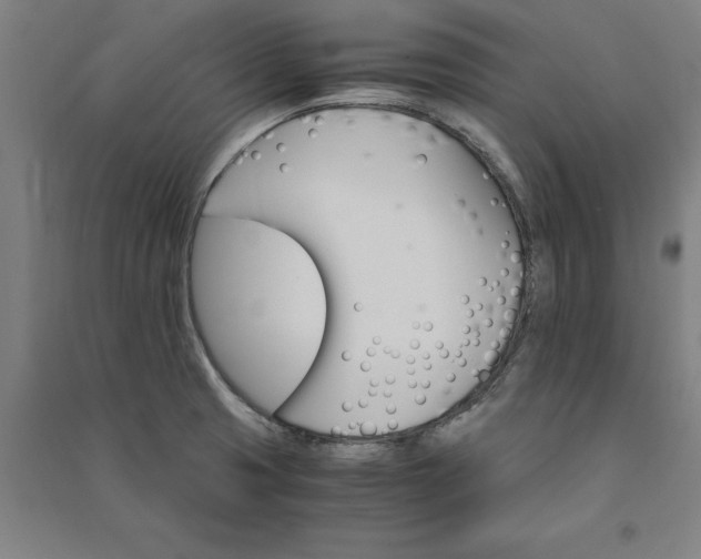 X0000091101425200708201510