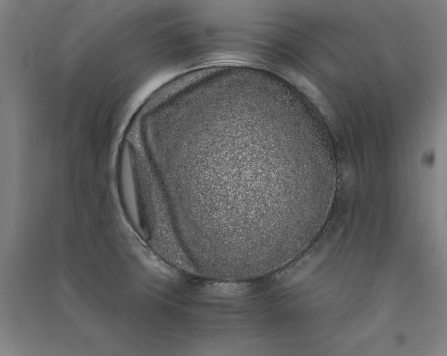 X0000091101427200708201510