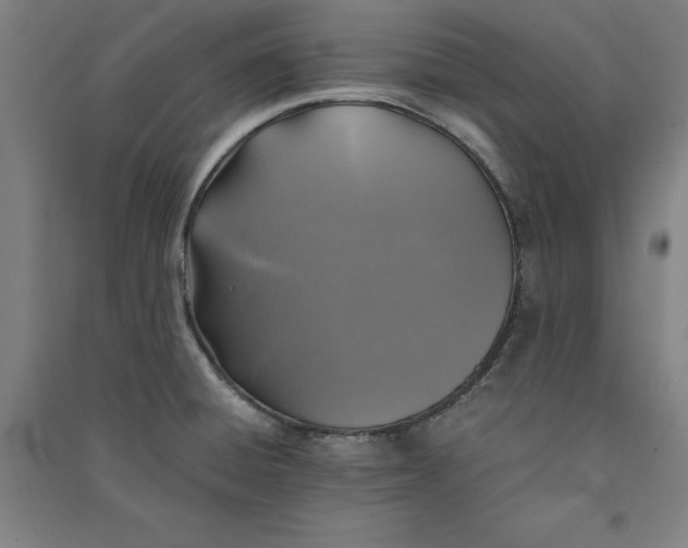 X0000091101428200708201510