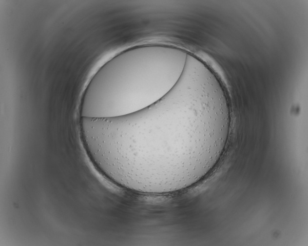 X0000091101429200708201510