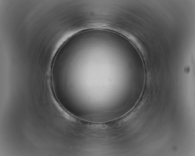 X0000091101432200708201510