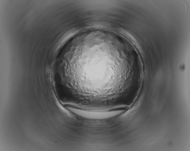 X0000091101433200708201510