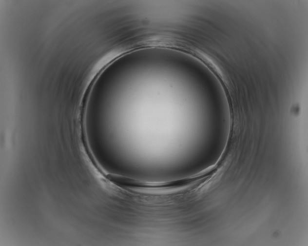 X0000091101434200708201510