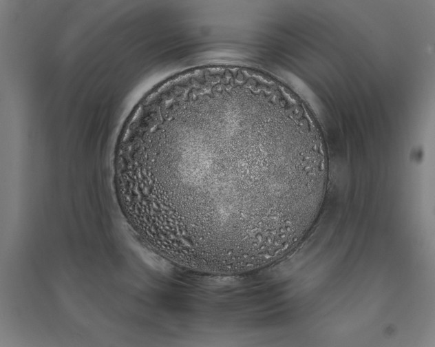 X0000091101435200708201510