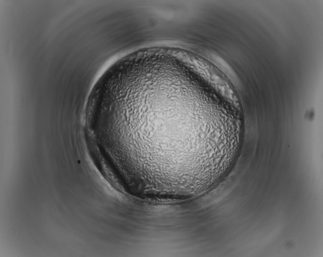 X0000091101436200708201510