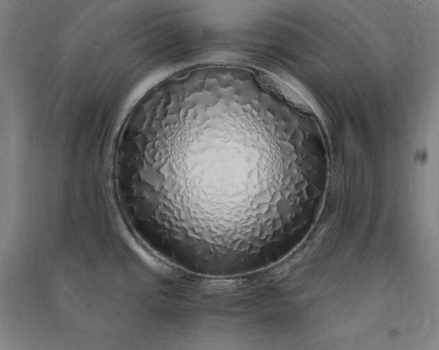 X0000091101437200708201510