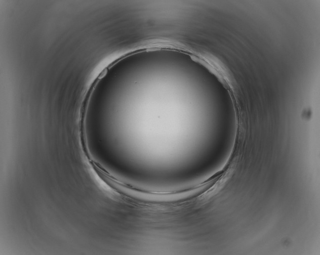 X0000091101438200708201510