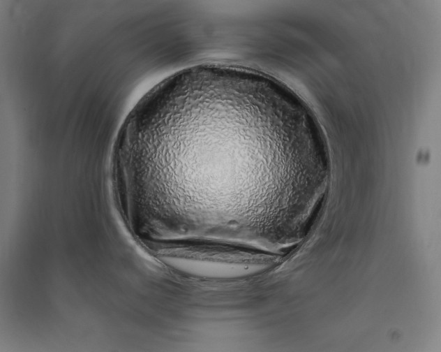 X0000091101440200708201510