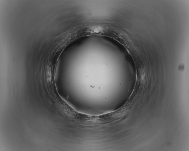 X0000091101442200708201509