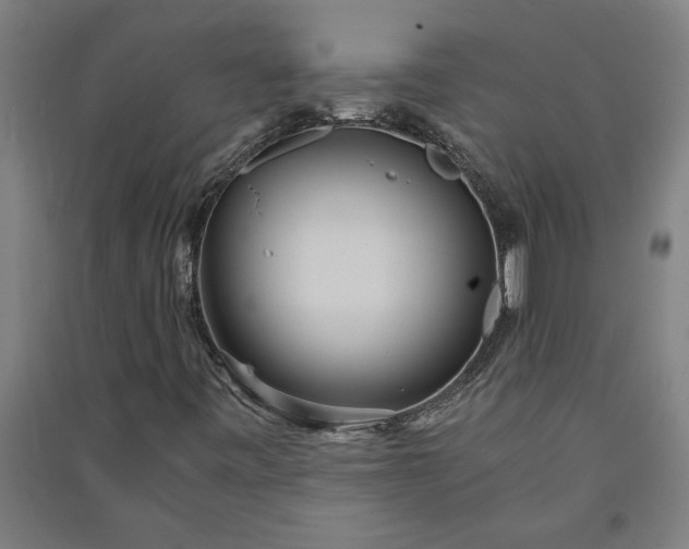 X0000091101443200708201509