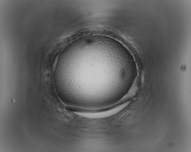 X0000091101445200708201509