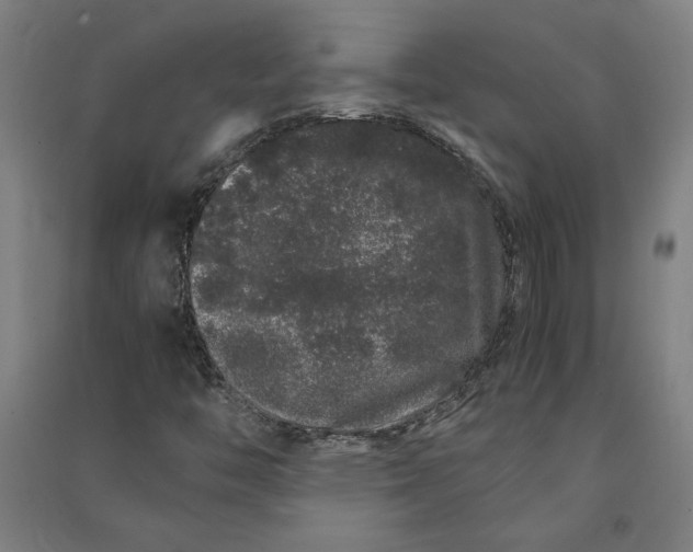 X0000091101446200708201509