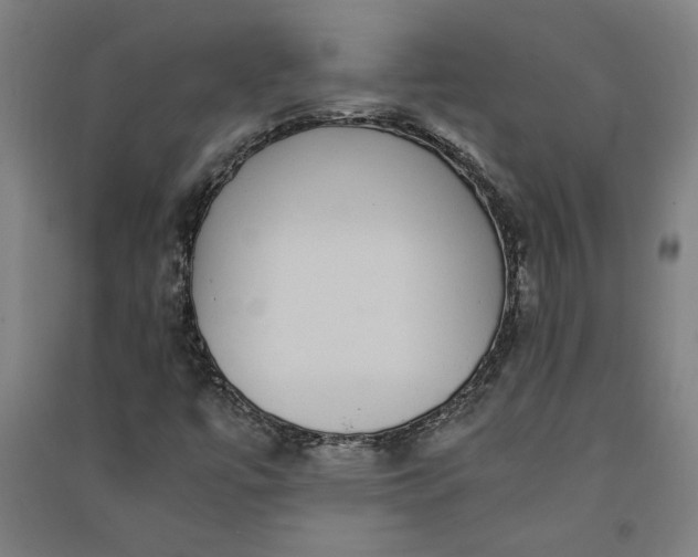 X0000091101447200708201509