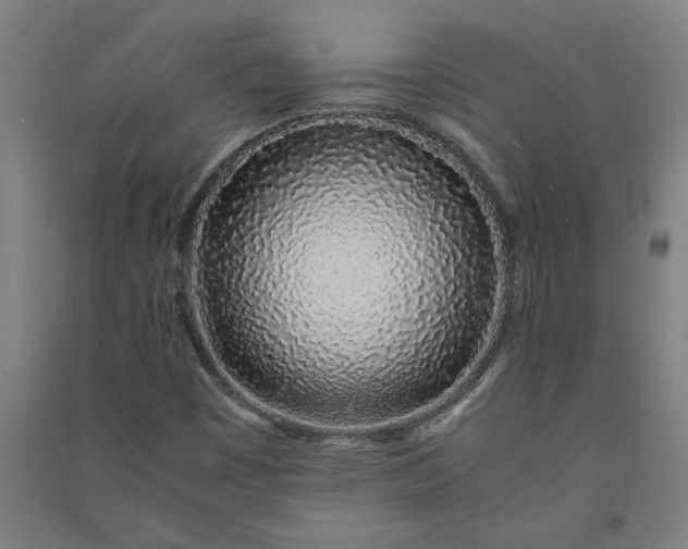 X0000091101449200708201509