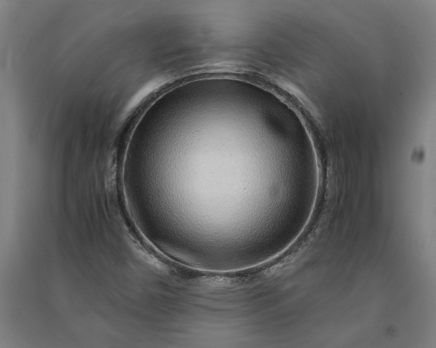 X0000091101450200708201509