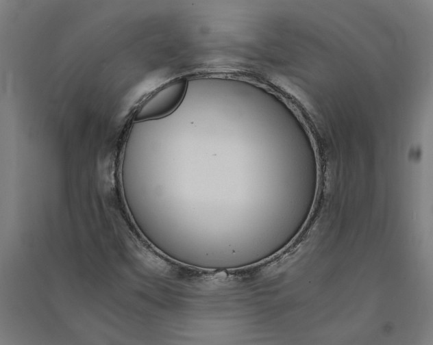 X0000091101451200708201509