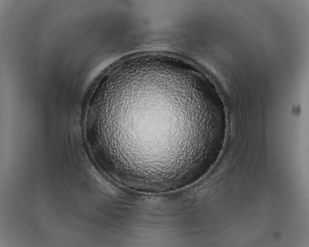 X0000091101452200708201509