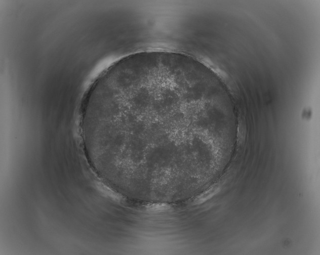 X0000091101454200708201509