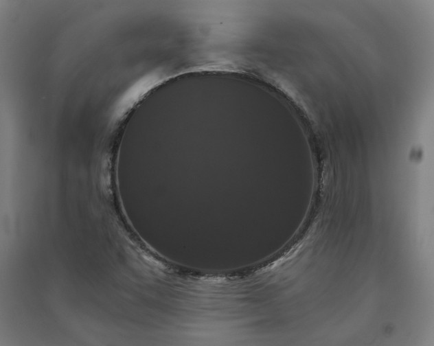 X0000091101455200708201509