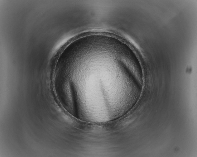 X0000091101456200708201509