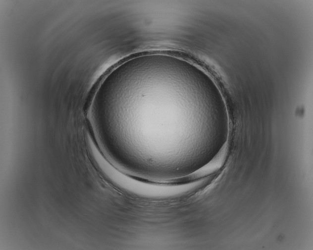 X0000091101457200708201509