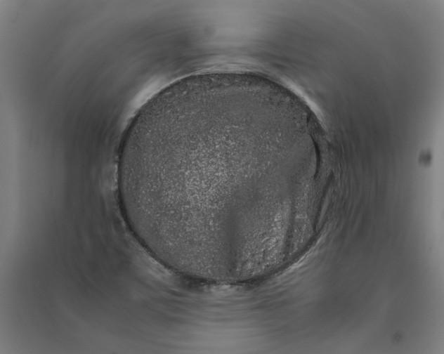 X0000091101459200708201509