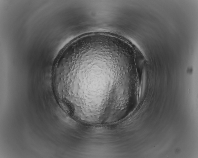 X0000091101460200708201509