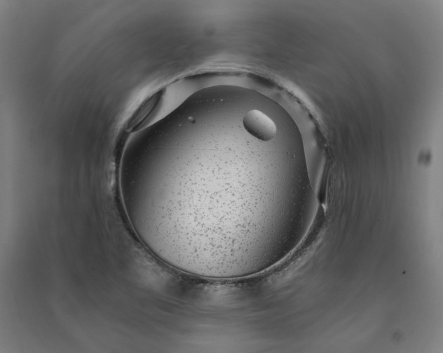 X0000091101461200708201509