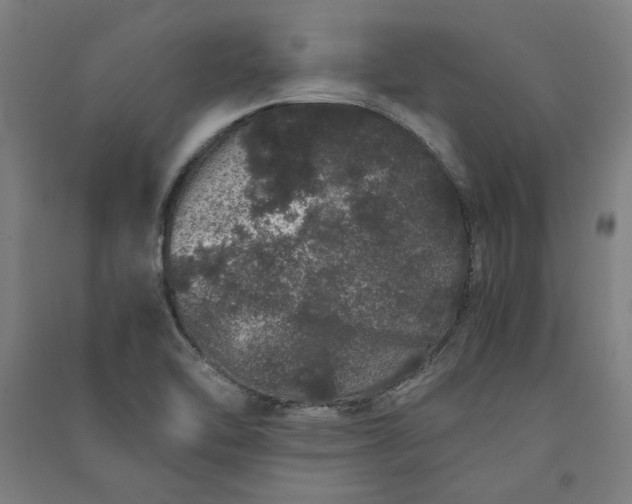 X0000091101462200708201509