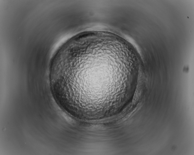 X0000091101464200708201509