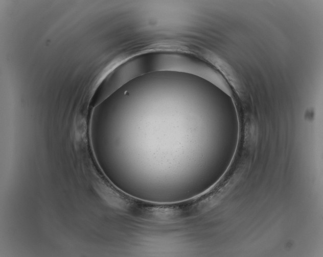 X0000091101465200708201509