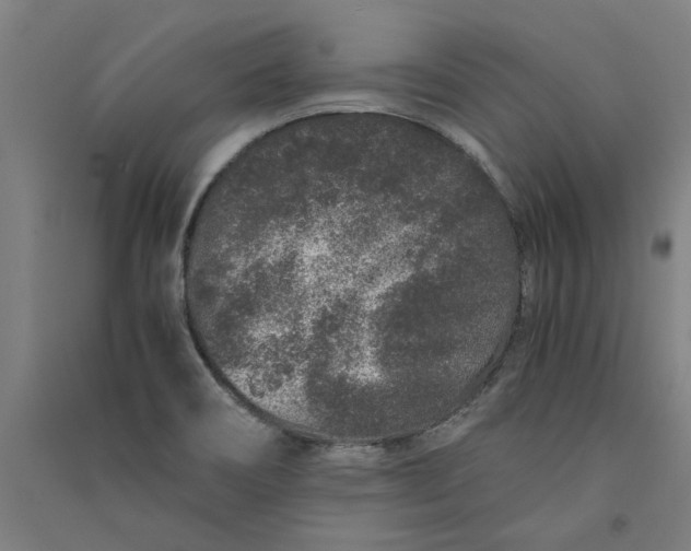 X0000091101466200708201509