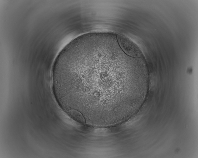 X0000091101467200708201509