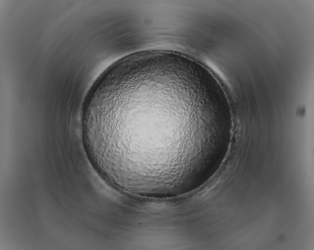 X0000091101468200708201509