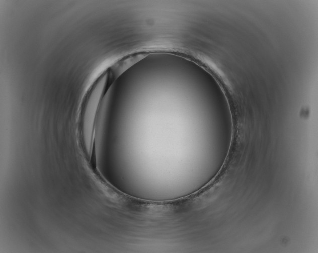 X0000091101469200708201509