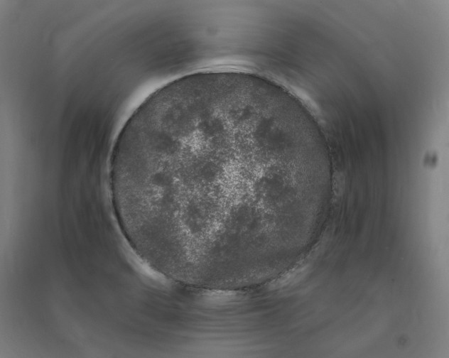 X0000091101470200708201509