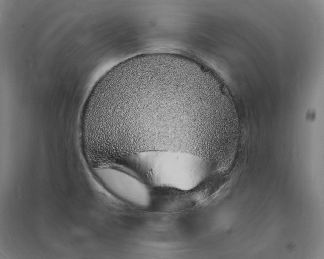 X0000091101471200708201509