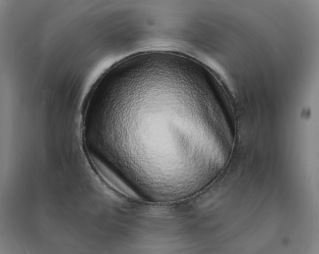 X0000091101472200708201509