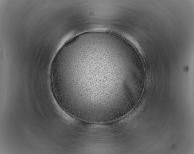 X0000091101475200708201509