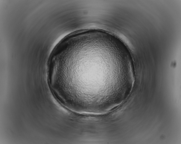 X0000091101476200708201509