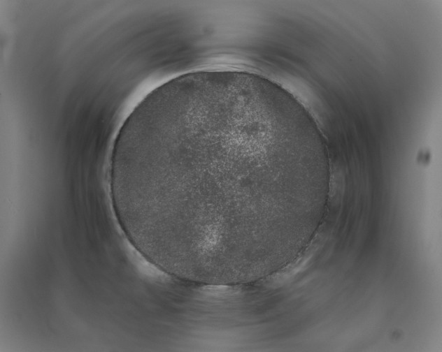 X0000091101478200708201509