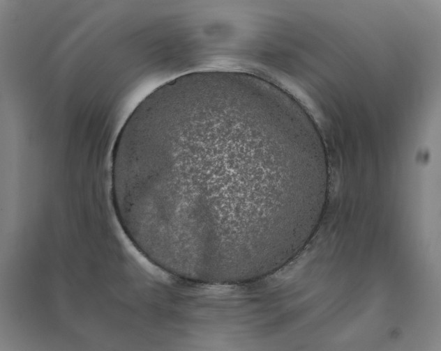 X0000091101479200708201509