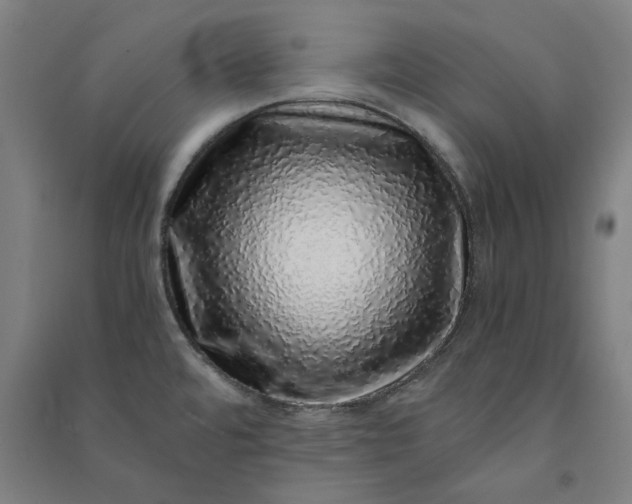 X0000091101480200708201509