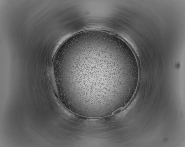 X0000091101481200708201509