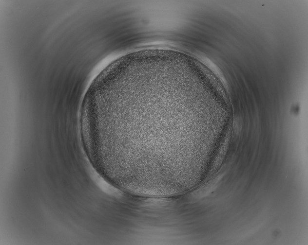 X0000091101482200708201509