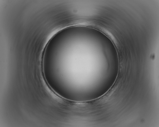 X0000091101483200708201509