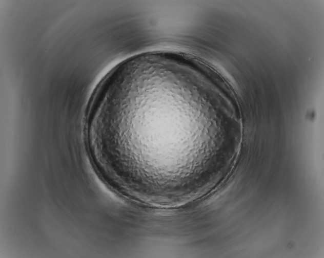 X0000091101484200708201509