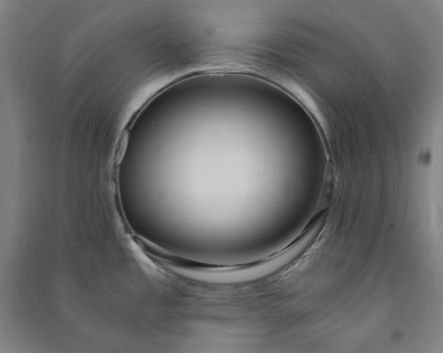 X0000091101485200708201509